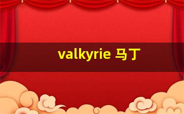 valkyrie 马丁